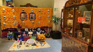 Arranca Cuarto Festival de Ofrendas y Arreglos Florales del Centro Histórico con 171 montajes